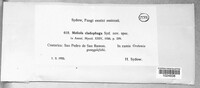 Image Associated With the Occurence
